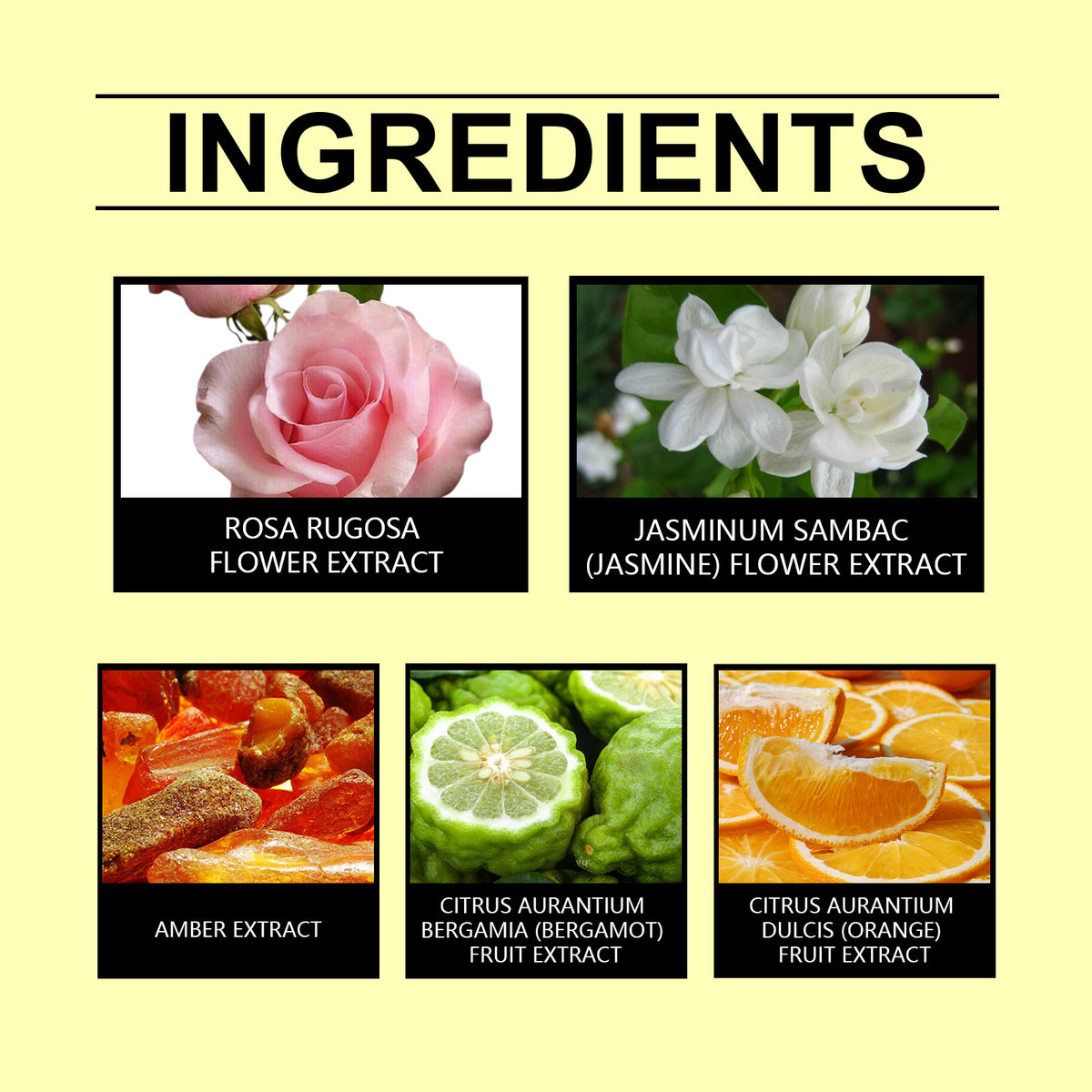 Mini Perfume Spray